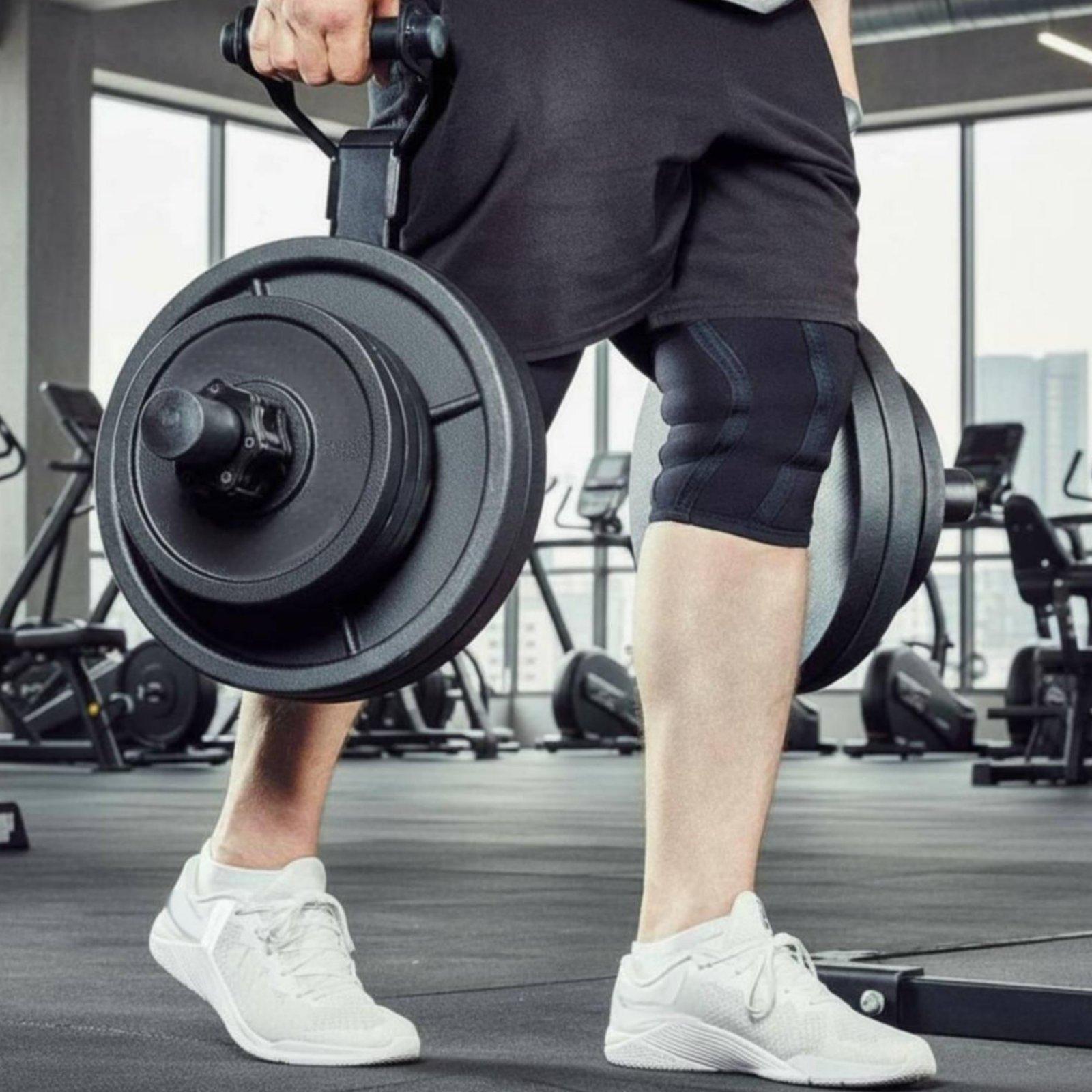 Multi-size Barbell Plate Holde - Home Gym Equipment review and price