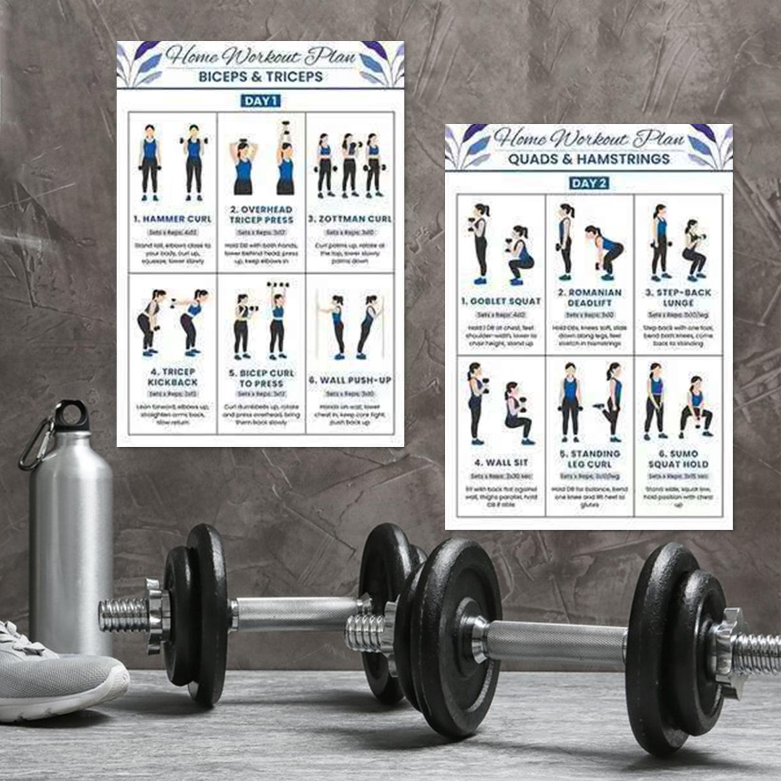 Workout Chart Full Body Comple - Home Gym Routine review and price