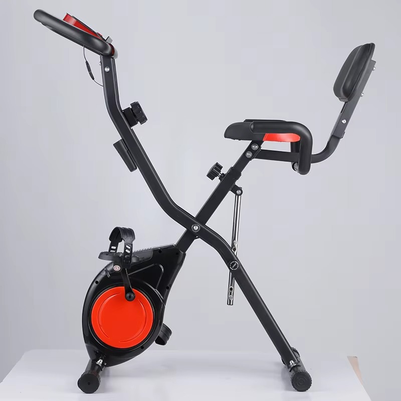 Home Gym Magnetron Exercise Bi - Home Gym Routine review and price