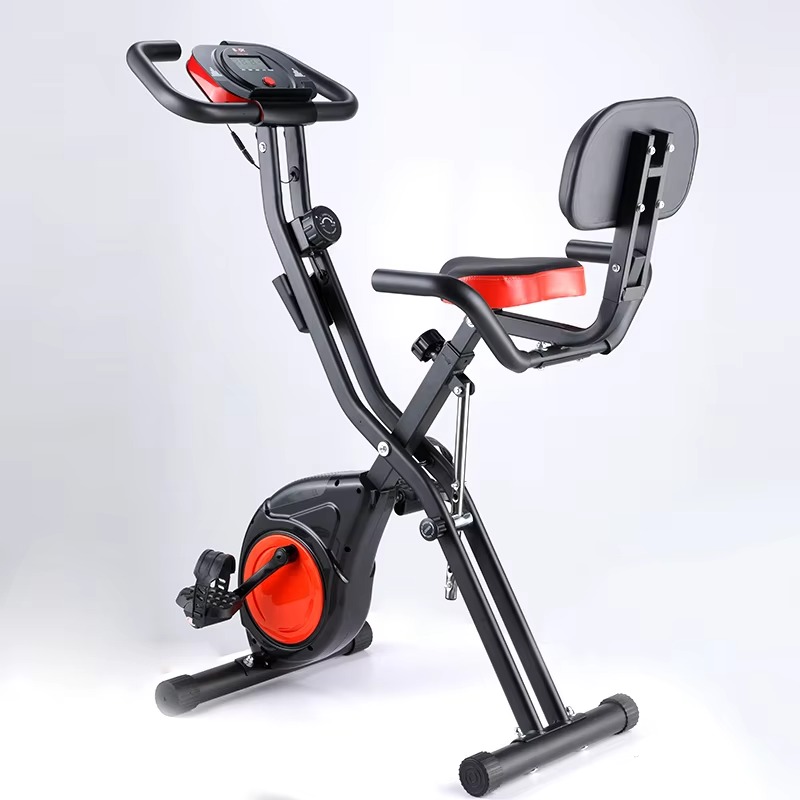 Home Gym Magnetron Exercise Bi - Home Gym Routine review and price