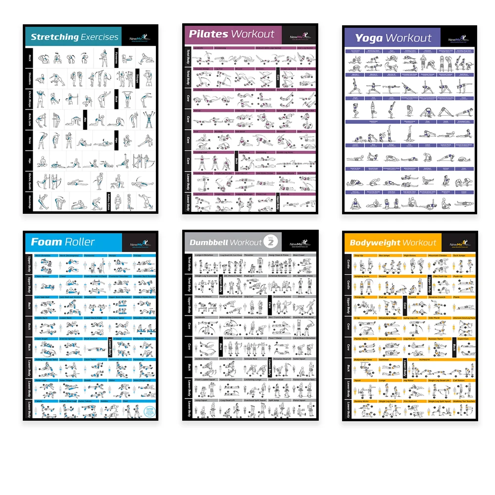 Body Exercise Training Chart W - Home Gym Setup review and price
