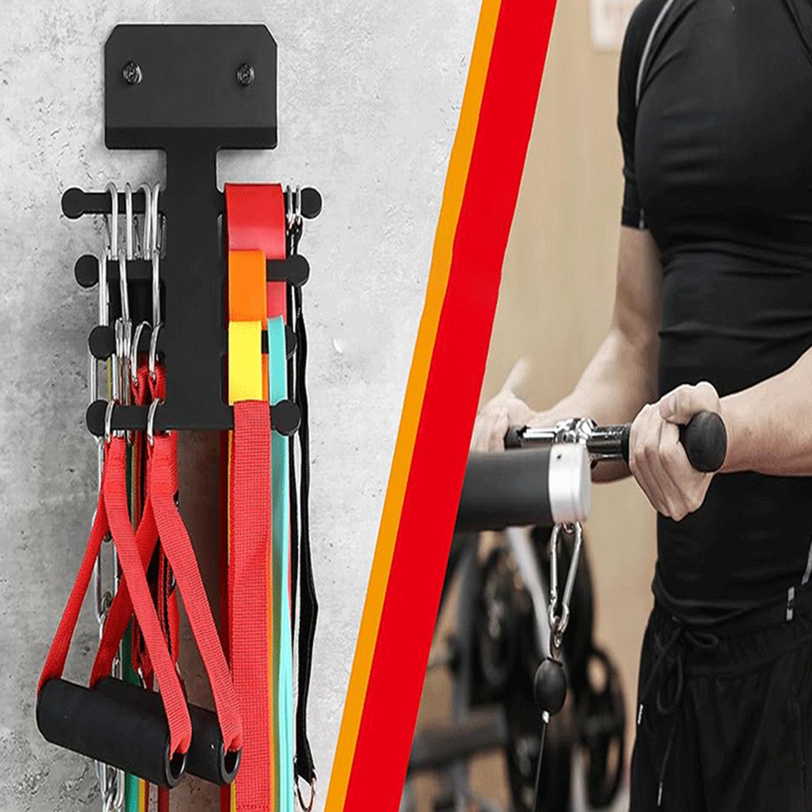 Gym Wall Storage Metal Heavy D - Home Gym Routine review and price