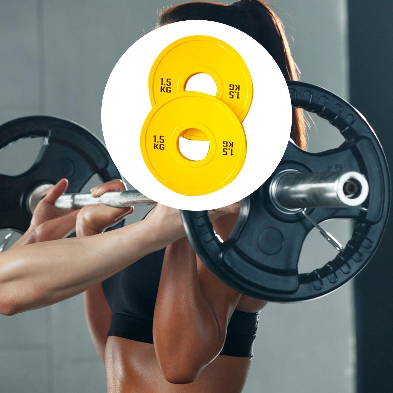 Micro Weight Plates for Barbel - Home Gym Routine review and price